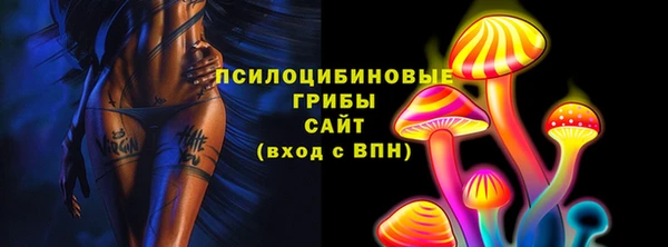 бошки Абаза