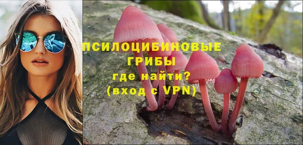 бошки Абаза