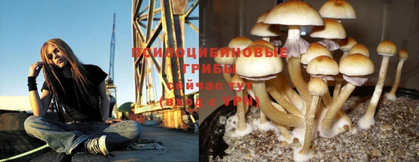 бошки Абаза