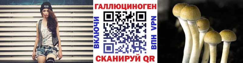 Псилоцибиновые грибы Psilocybe  купить наркоту  Фрязино 