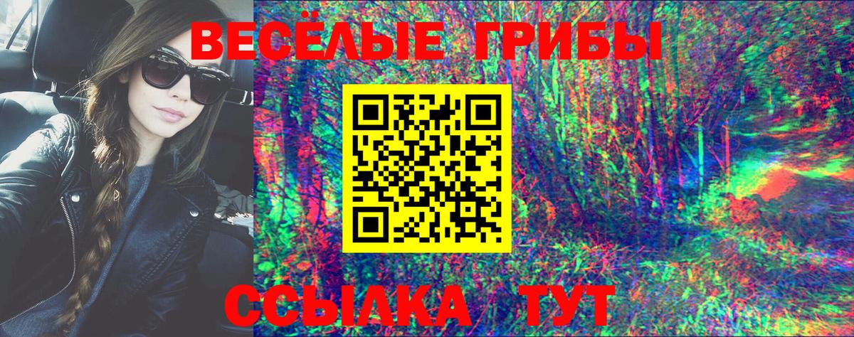 как найти закладки  Вход с VPN  Фрязино  Галлюциногенные грибы Psilocybine cubensis 