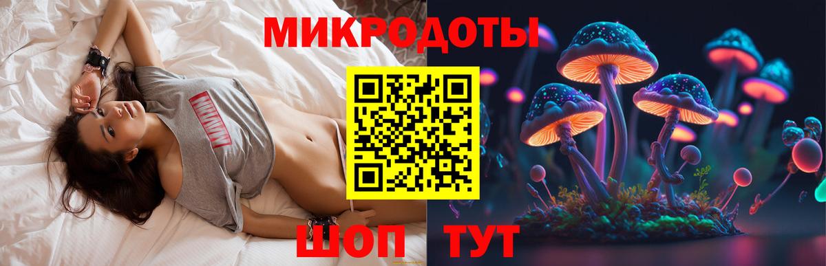 Псилоцибиновые грибы Cubensis Фрязино